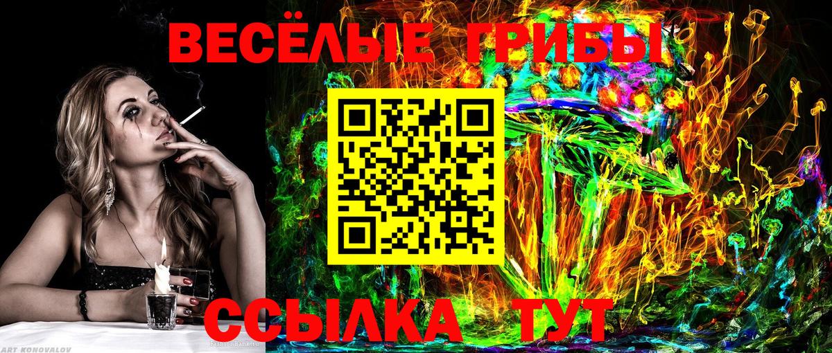 Галлюциногенные грибы Magic Shrooms Ростов-на-Дону
